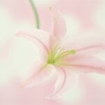 从传统到现代:新时代娱乐的演变与创新 2t9nnz