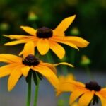 新时代的女性力量:推动社会进步的重要角色 73817bg16a