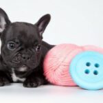 新时代H5在文化传播中的创新实践与探索 p9615isi