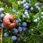 新时代APP的设计理念与用户界面优化策略 r2efft9a4