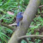 新时代H5与虚拟现实技术的结合与创新 ws9c6