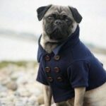 深入解析新时代H5的开发工具与技术框架 zd6xyhqqxm